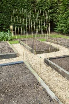 Planning a vegetable garden Stock Photos