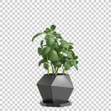 Plant 32 up 38 Stock Illustration