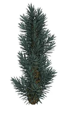 Plant - 3D render Stock Illustration