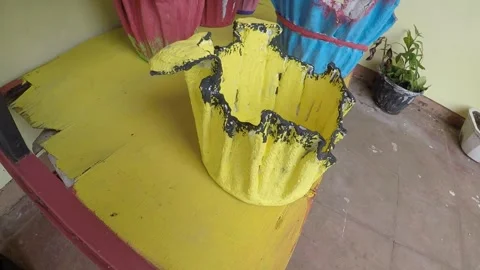 Plant 4 Stock Footage 299379675