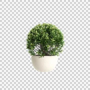 Plant 57 up 41 Stock Illustration