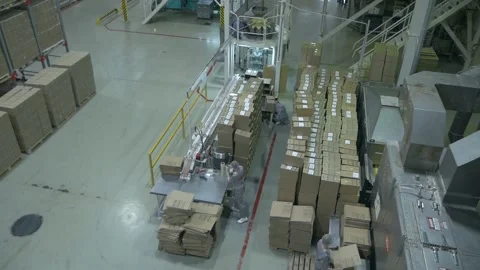 Plant with all stages of production, sorting and packaging. View from above. Stock Footage 205873764