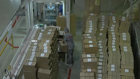 Plant with all stages of production, sorting and packaging. View from above. Stock Footage 205873827