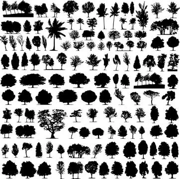 Plant and Trees Vector Collection Nature Inspired Graphics for Designers Stock Illustration