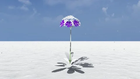 Plant Animation Under Snowfall 스톡 동영상 329047075
