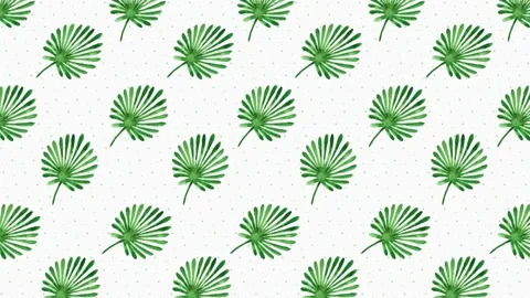 Plant Background 1 - Leaf 2 Stock Footage 212453454