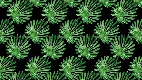 Plant Background 2 - Leaf Stock Footage 212453459