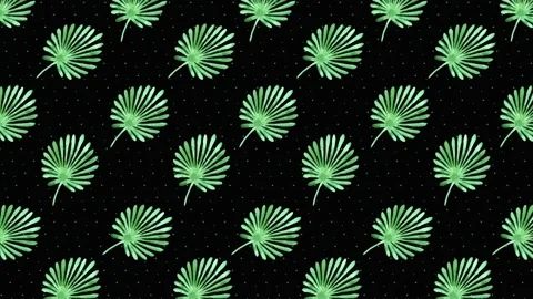 Plant Background black - Leaf 2 Stock Footage 212453466