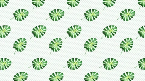 Plant Background - Leaf 1 Stock Footage 212453383