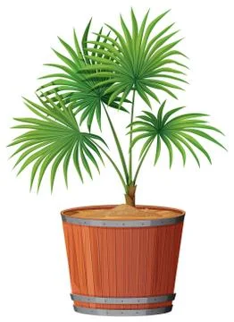 Plant in barrell pot 库存插图