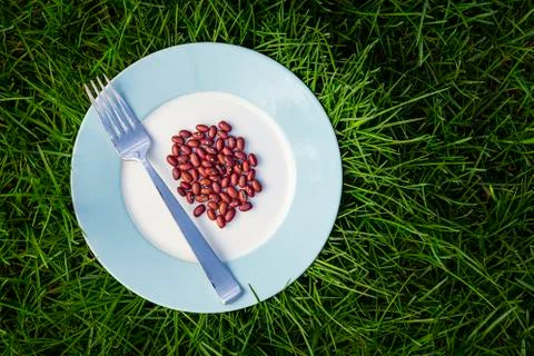 Plant based meal Stock-Fotos