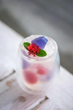 Plant based vegan dessert. Creative presentation of food Stock Photos