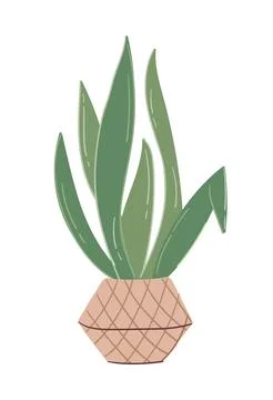 Plant in basket Stock Illustration