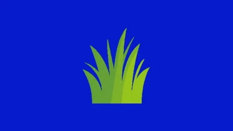 Plant on blue screen background Vidéo 329393467