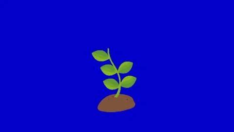 Plant on blue screen background 動画素材 329393473