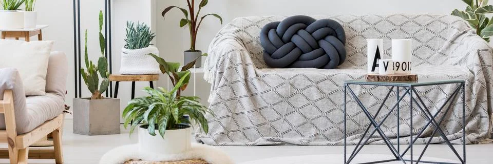 Plant in botanic flat interior Stock Photos