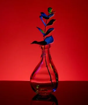 Plant in a bottle Stock Photos