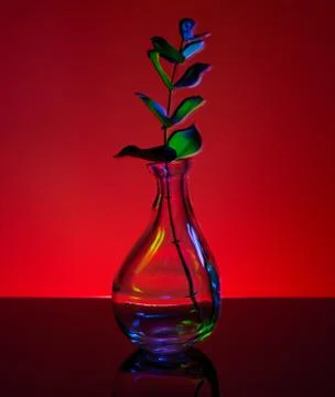 Plant in a bottle Stock Photos