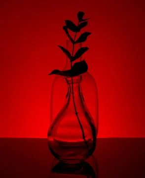 Plant in a bottle Stock Photos