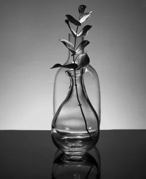 Plant in a bottle Stock Photos