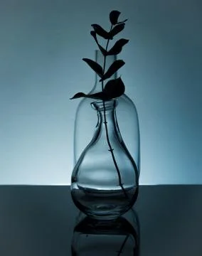 Plant in a bottle Stock Photos