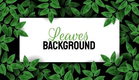 Plant branch on a dark background. Spring or summer nature. Overgrown tree br Stock Illustration