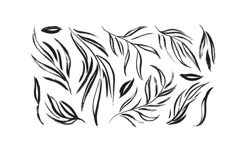 Plant branches with long leaves vector set. Stock Illustration