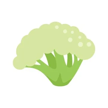 Plant brocoli icon flat vector. Vegetable cabbage Ilustración de archivo