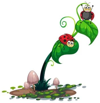 A plant with bugs Illustrazione stock