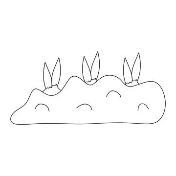 Plant Bulbs in soil. Flat Vector Botany illustration of Growing Flowers in Gr Stock Illustration