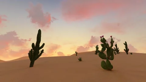 Plant cactus in arid desert Stock Footage 245249949