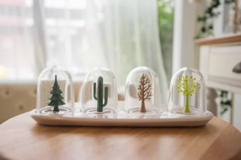 Plant, cactus Stock Photos