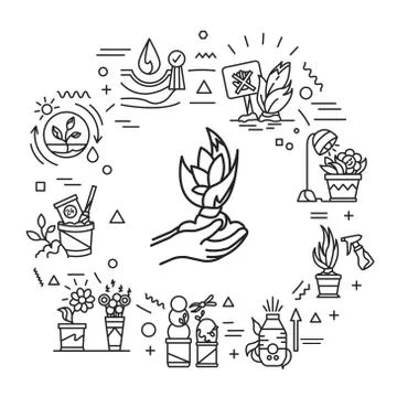 Plant care web banner. Complex of care procedures for plant rotation. Infogra Stock Illustration