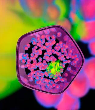 Plant cell, artwork Stock Illustration
