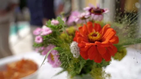 Plant. Chamomile flower. Close-up. Background. Stock Footage 208767906