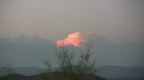 Plant clouds Stock Footage 509142