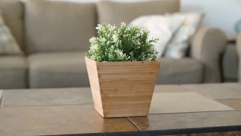 Plant on coffee table slider movement Stock Footage 75970680