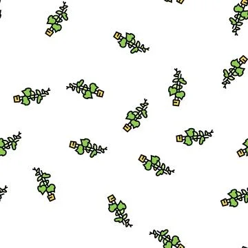 Plant cucumber vector seamless pattern Stock Illustration