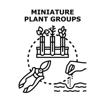 Plant cultivation process, science, and gardening tools Stock Illustration
