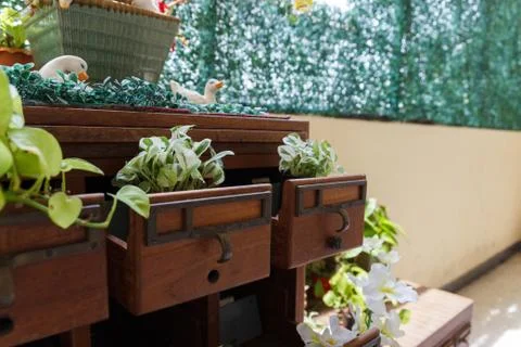 Plant in desk drawer Stock Photos