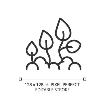 Plant development linear icon Stock Illustration