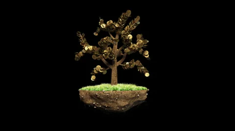 Plant a Dollar with Alpha Stock Footage 33733903