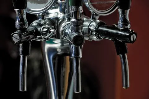 Plant for draft beer 写真素材