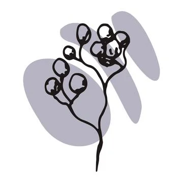 The plant is drawn by hand with a pen and translated into vector format. In the Stock Illustration