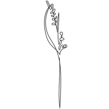 A plant drawn in a vector by one continuous line. Stock Illustration
