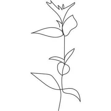 A plant drawn in a vector by one continuous line. Stock Illustration