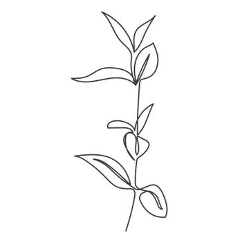 A plant drawn in a vector by one continuous line. Stock Illustration