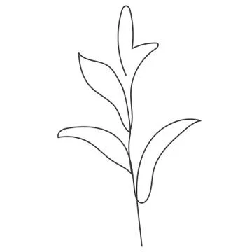 A plant drawn in a vector by one continuous line. Stock Illustration