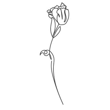 A plant drawn in a vector by one continuous line. Stock Illustration