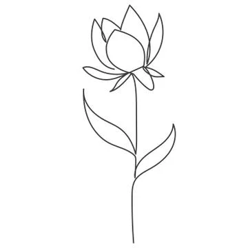 A plant drawn in a vector by one continuous line. Stock Illustration